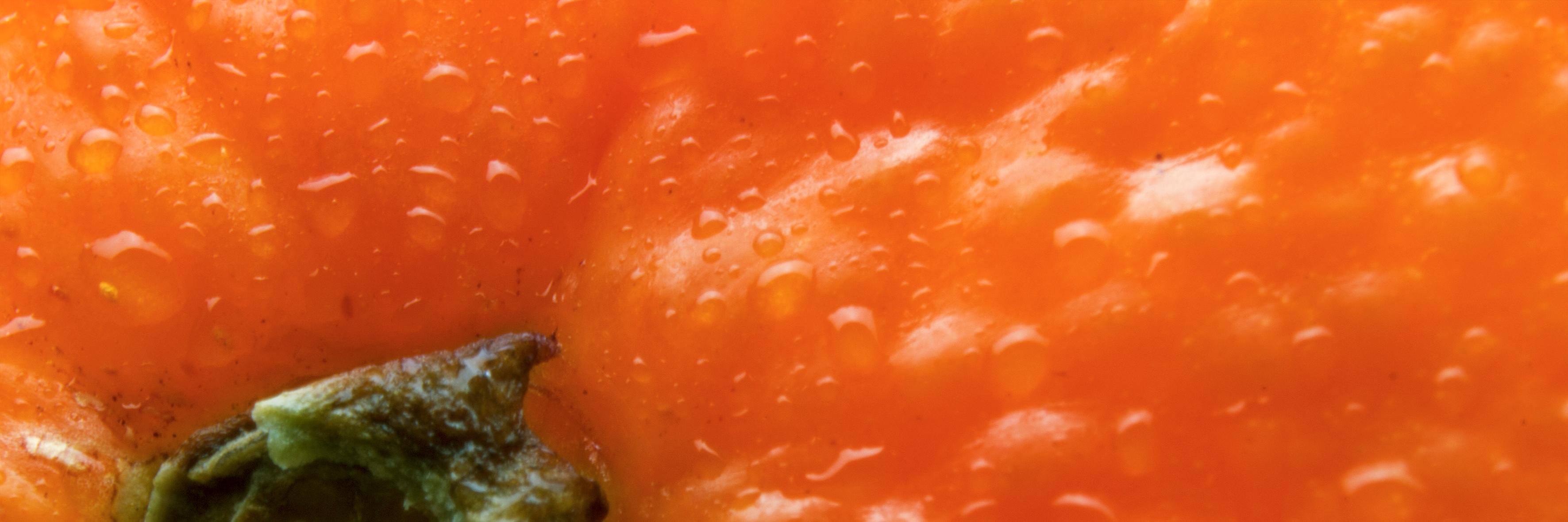 LauraCC29's profile banner image