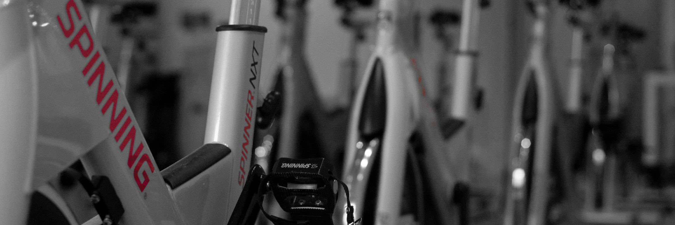 pulse_cycling's profile banner image