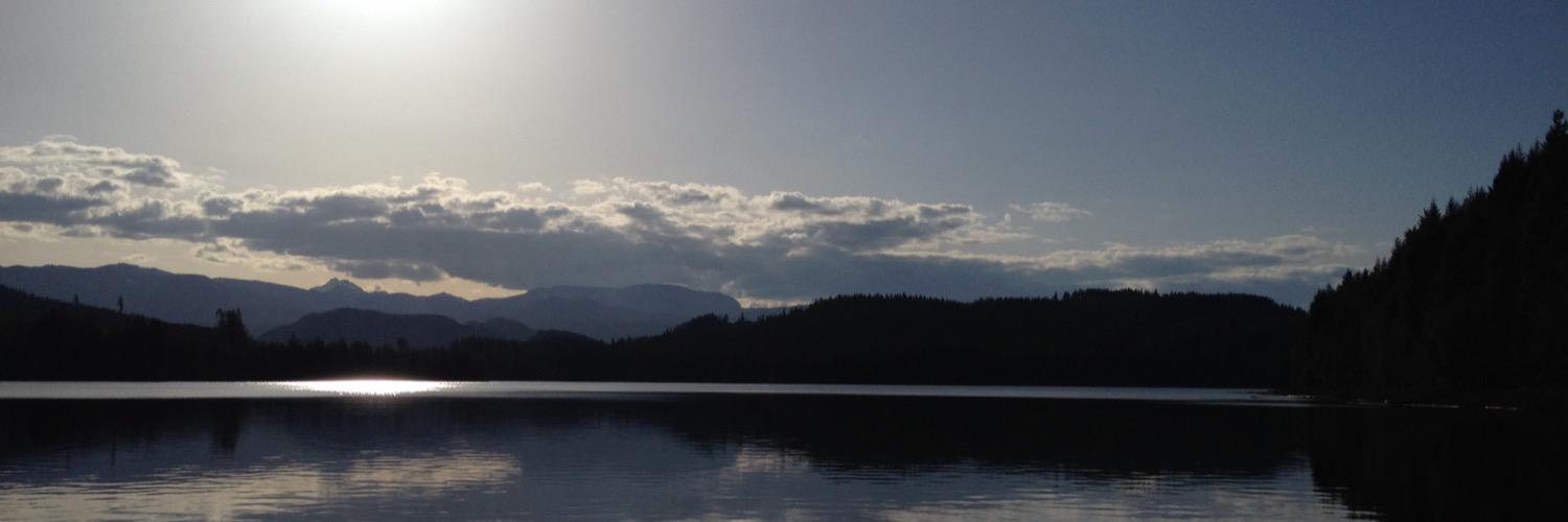 wmclean901's profile banner image
