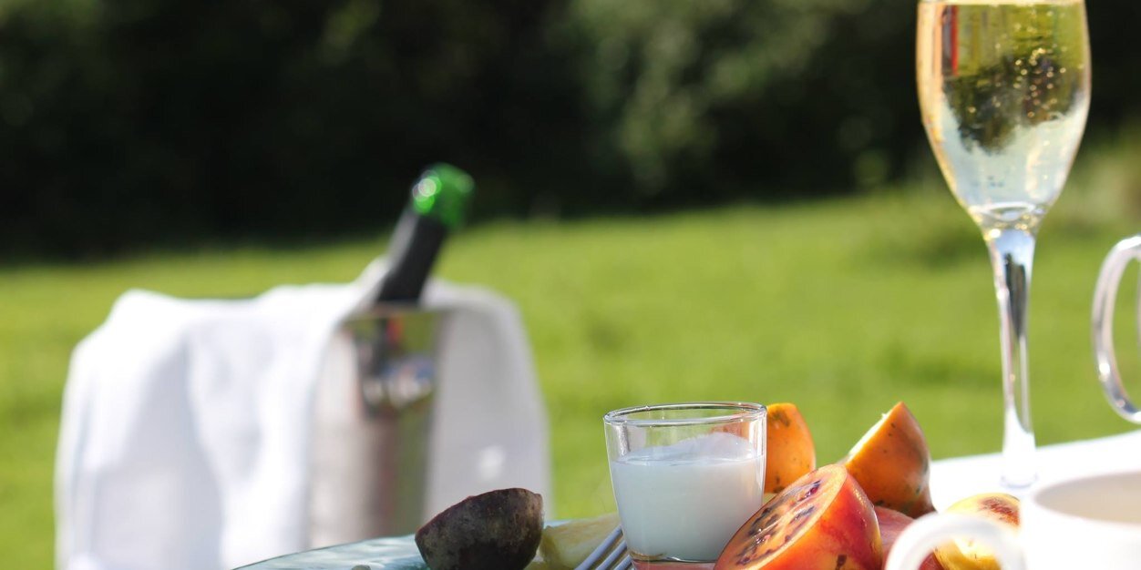 Cheryl Paynter banner