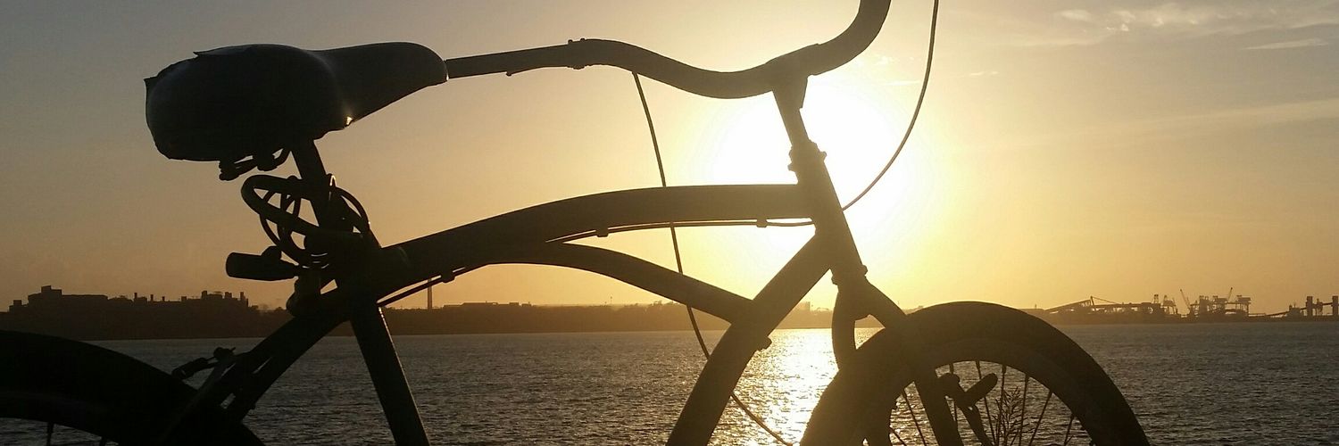 Liion22's profile banner image