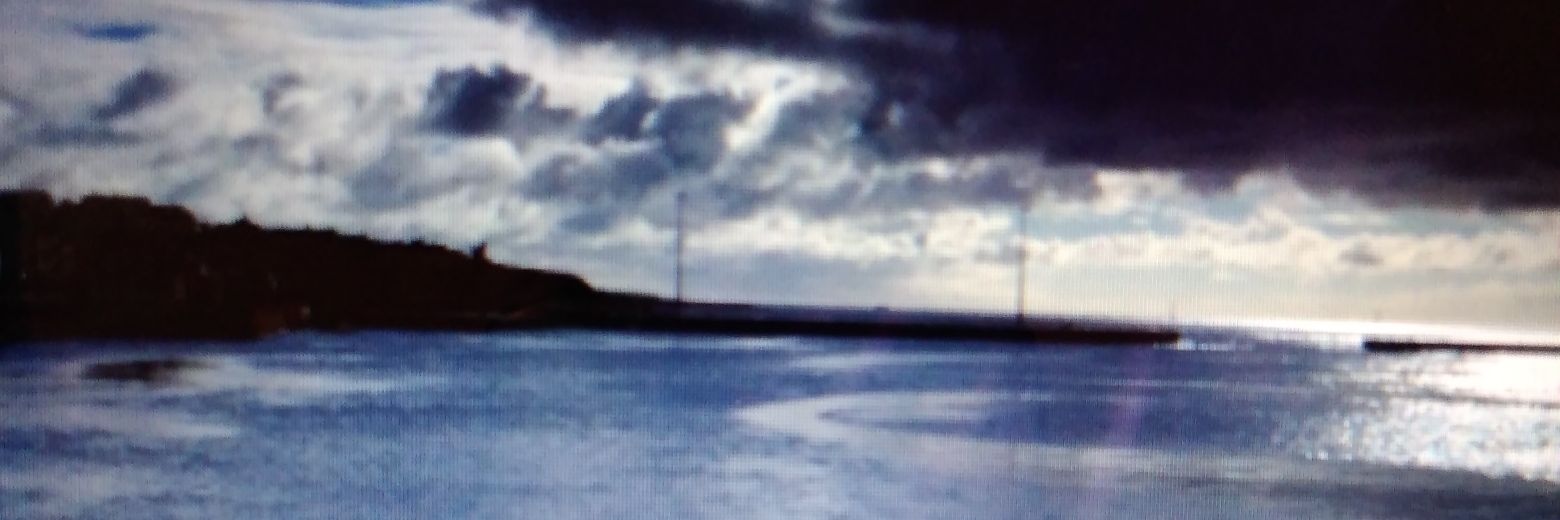 Pat 'Roxy Gillespie' Davies banner