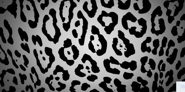 daniellegrantc1's profile banner image