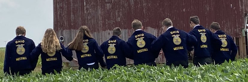 Westfall_FFA's profile banner image