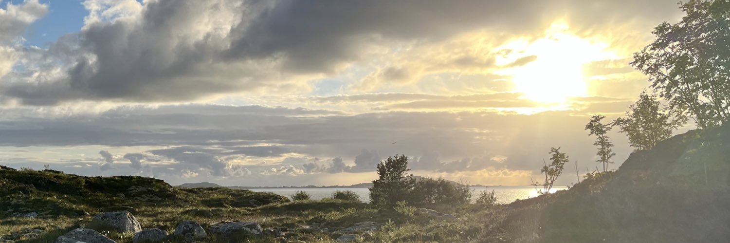 birgittegrb's profile banner image