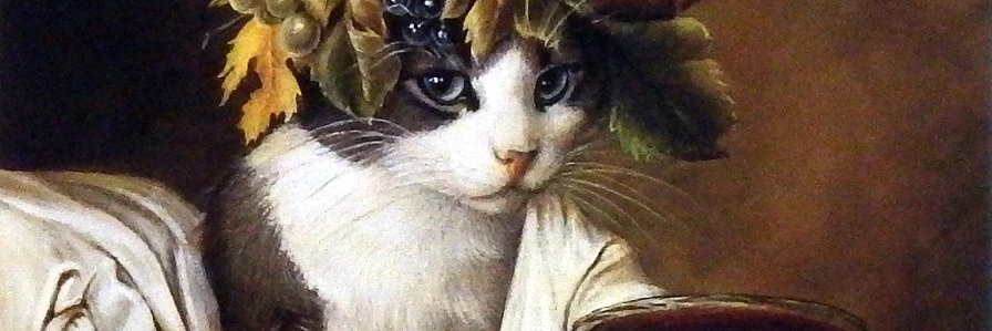 HStrieder's profile banner image