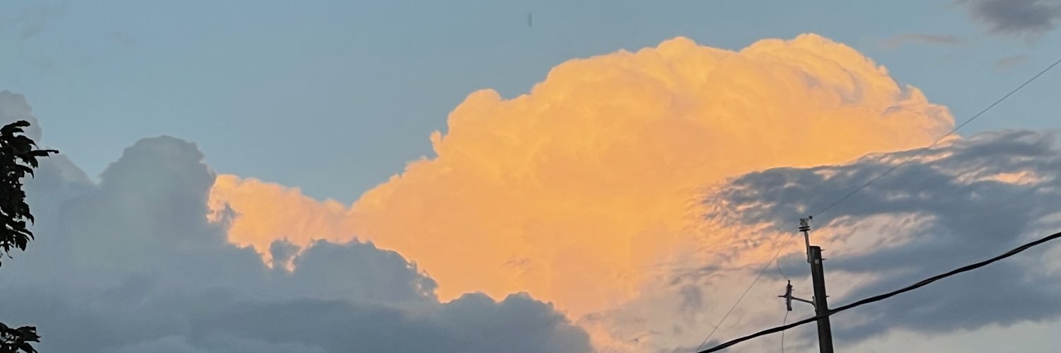 kels_carson's profile banner image