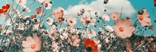 2Hannahclark Profile Banner