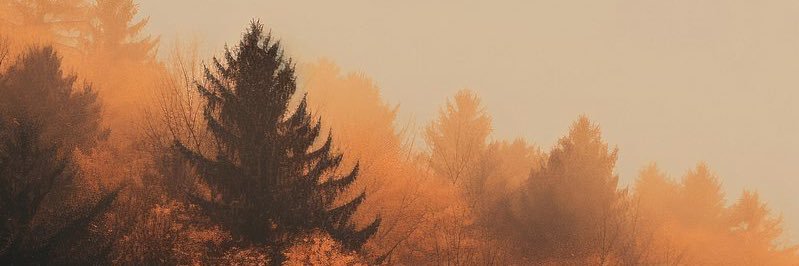 _estragon_'s profile banner image