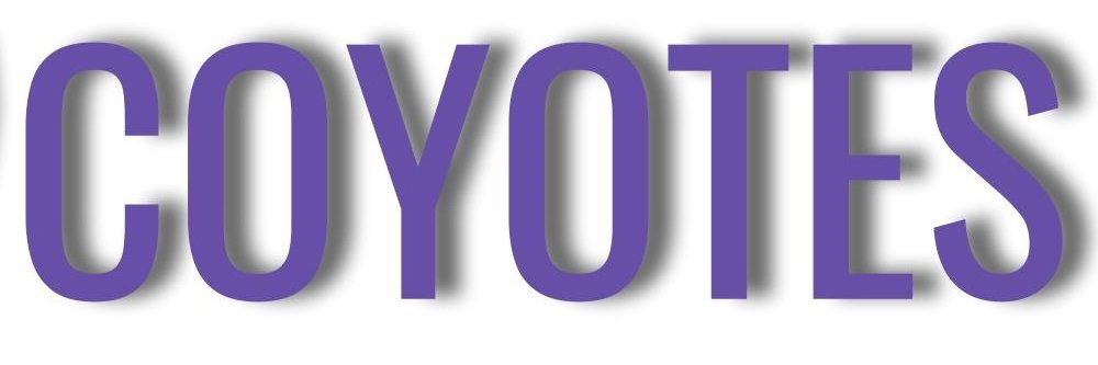 AHSCOYOTESOCCER's profile banner image