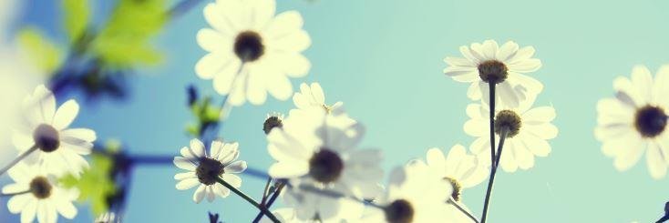 kyung901's profile banner image