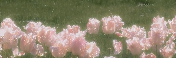 qtchaoss's profile banner image
