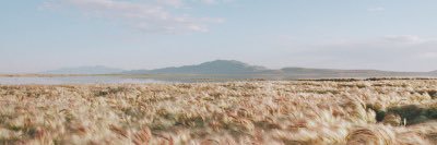 CatherineCaz_'s profile banner image