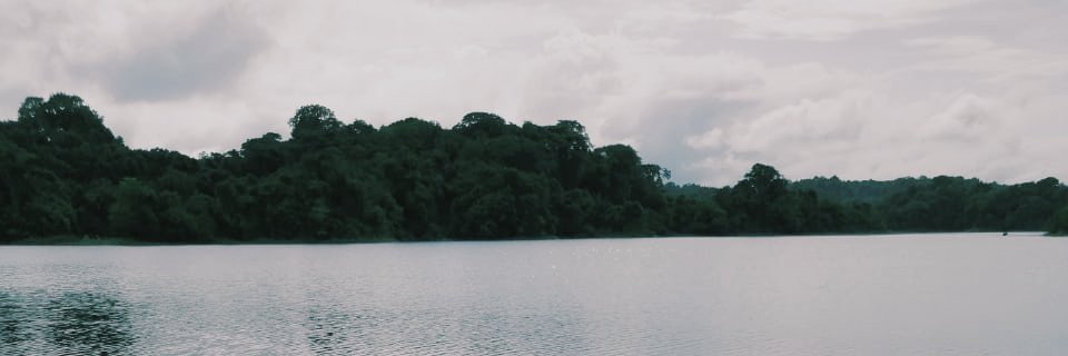 adaeunice's profile banner image