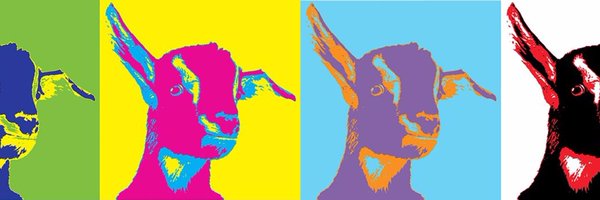 APEXPR Profile Banner