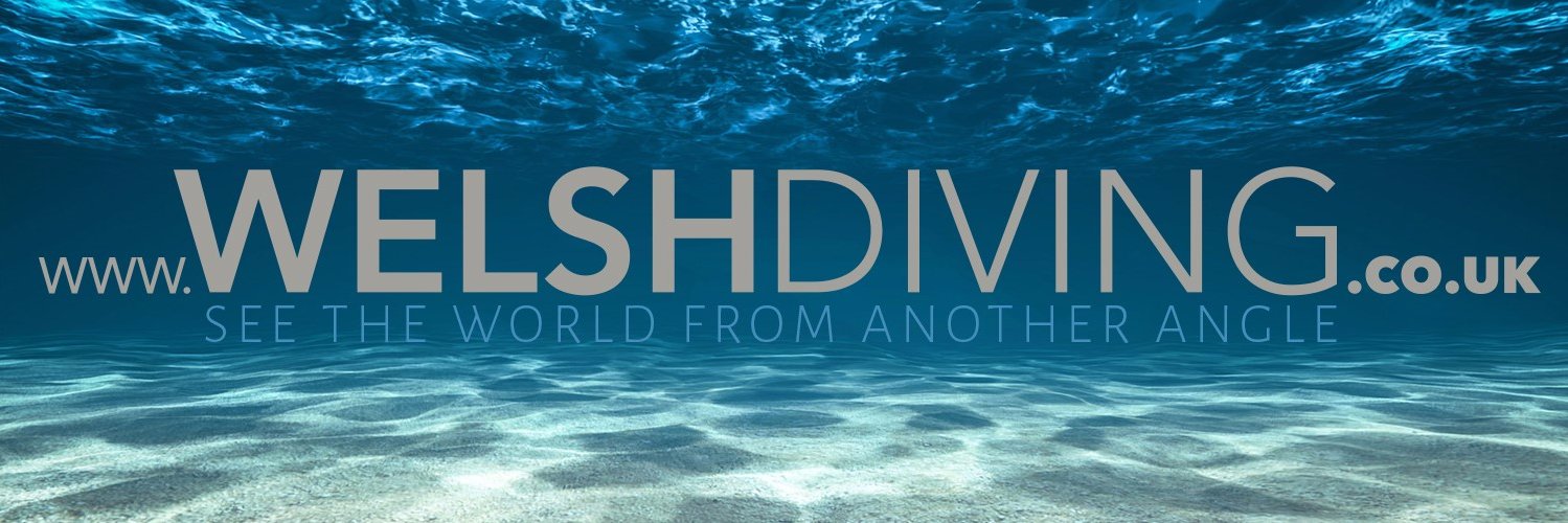 welshdiving's profile banner image
