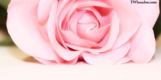 QueenDemiENY's profile banner image