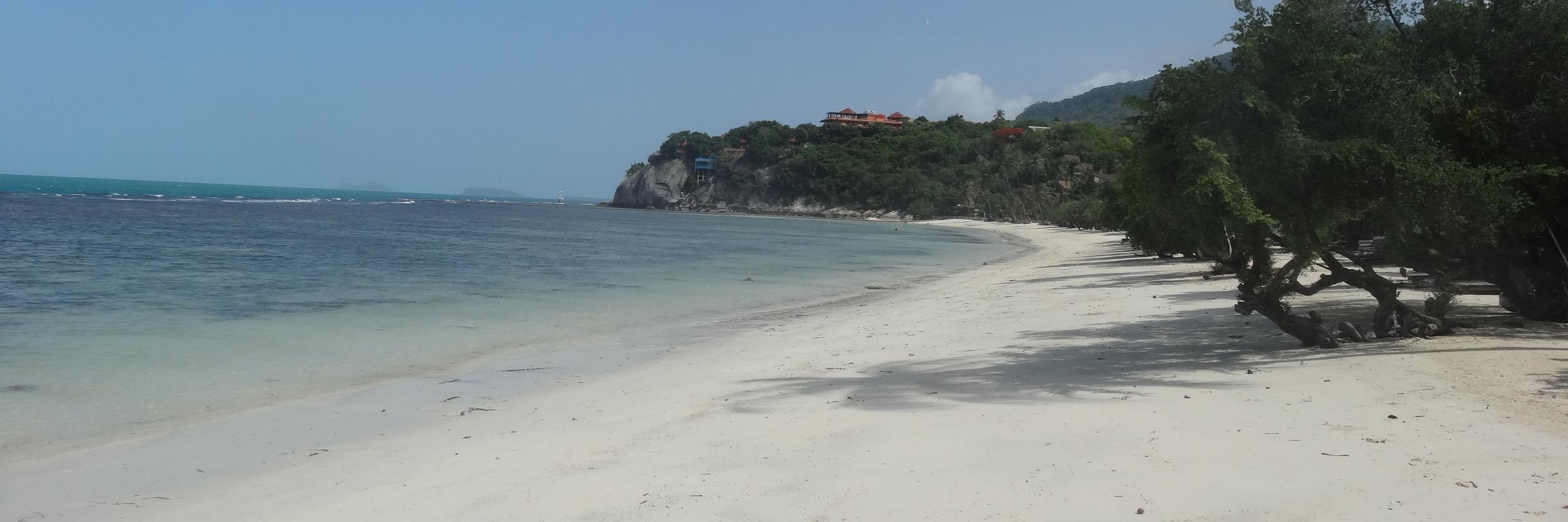 Sam Bryan banner