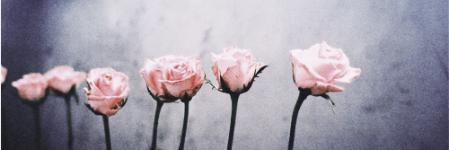 jennxthequeen's profile banner image