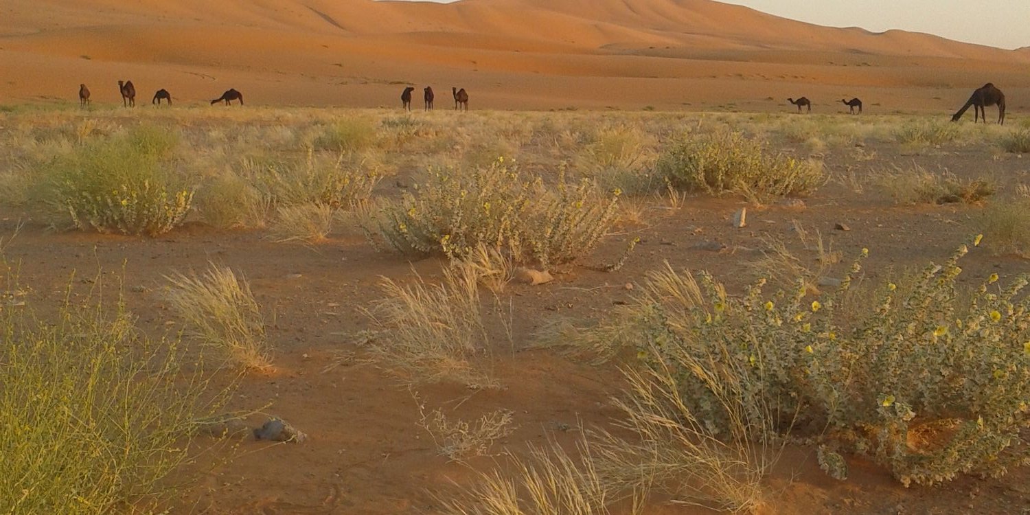 motab503mm's profile banner image