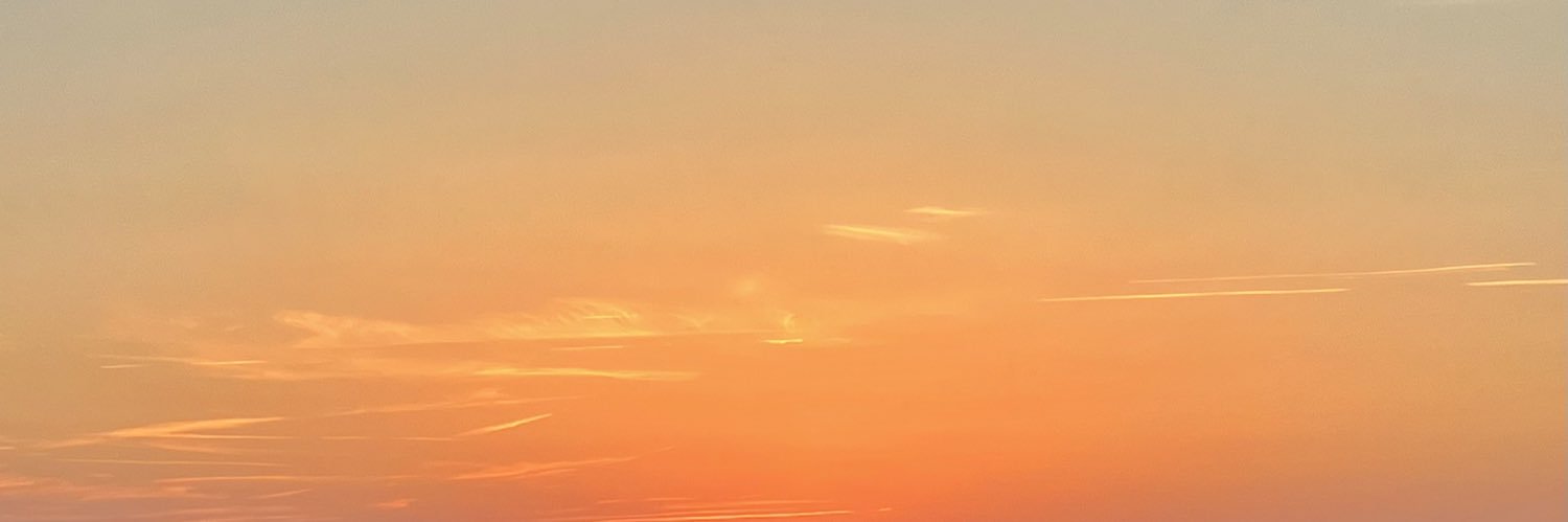 megcovk's profile banner image