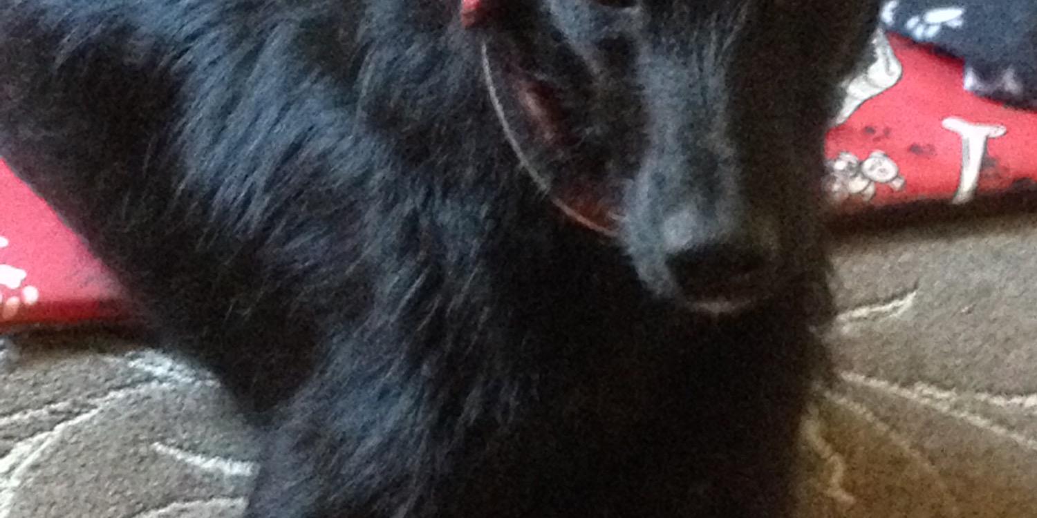 ClrJones2's profile banner image
