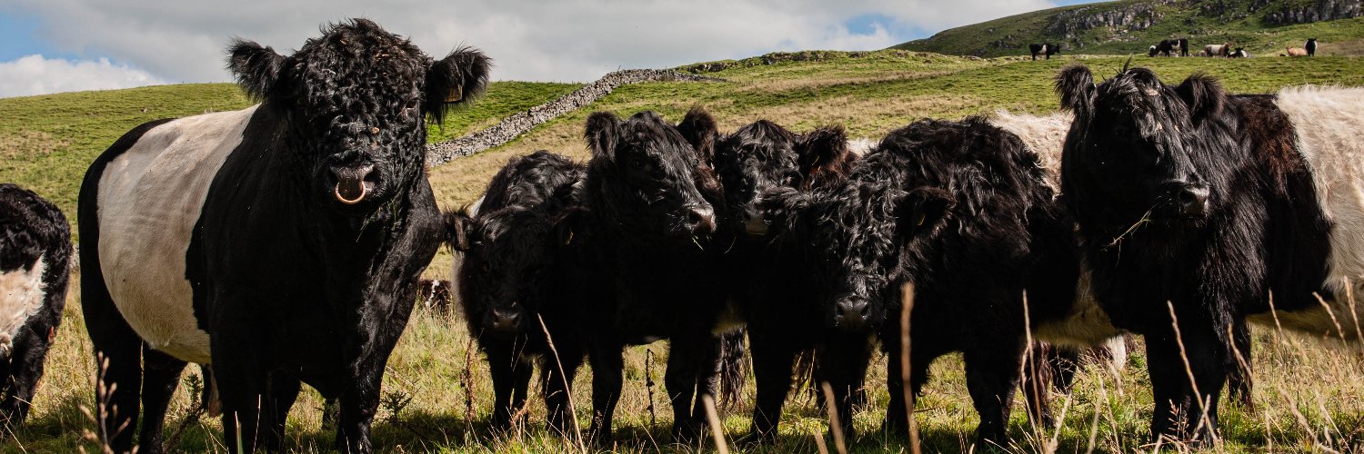 Swaledale Butchers banner