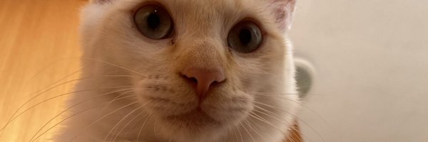 giiux Profile Banner