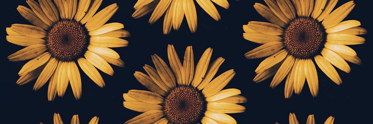 chloeamber6's profile banner image