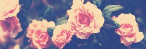 georges_ayana's profile banner image