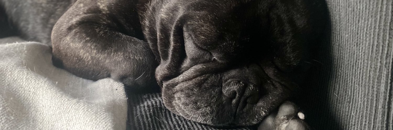 PolitoFranciscc's profile banner image
