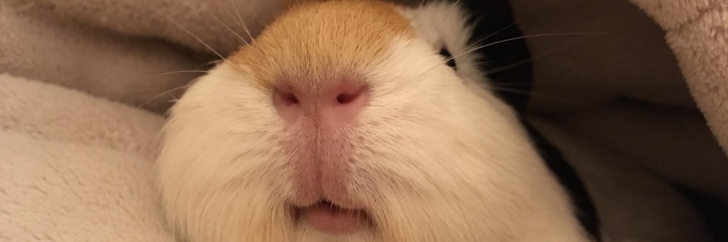 るもちゃん🌈とヒロ banner