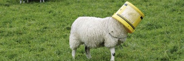 Unguided Profile Banner