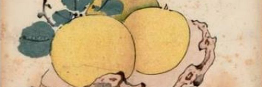 irohaletter's profile banner image