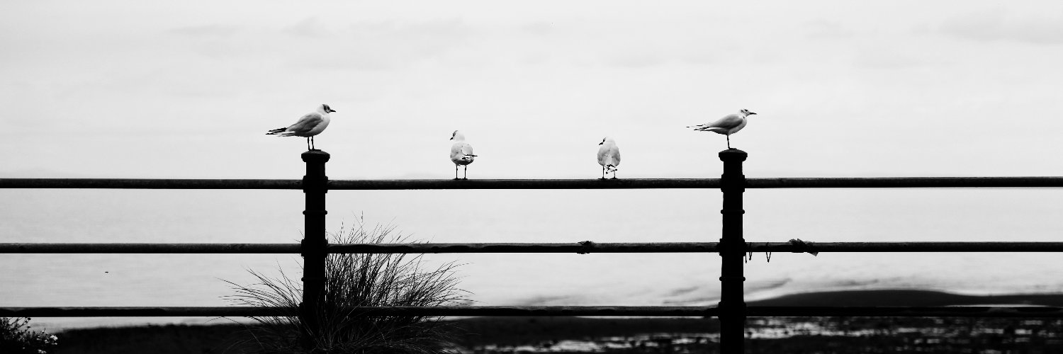 GregBloor's profile banner image