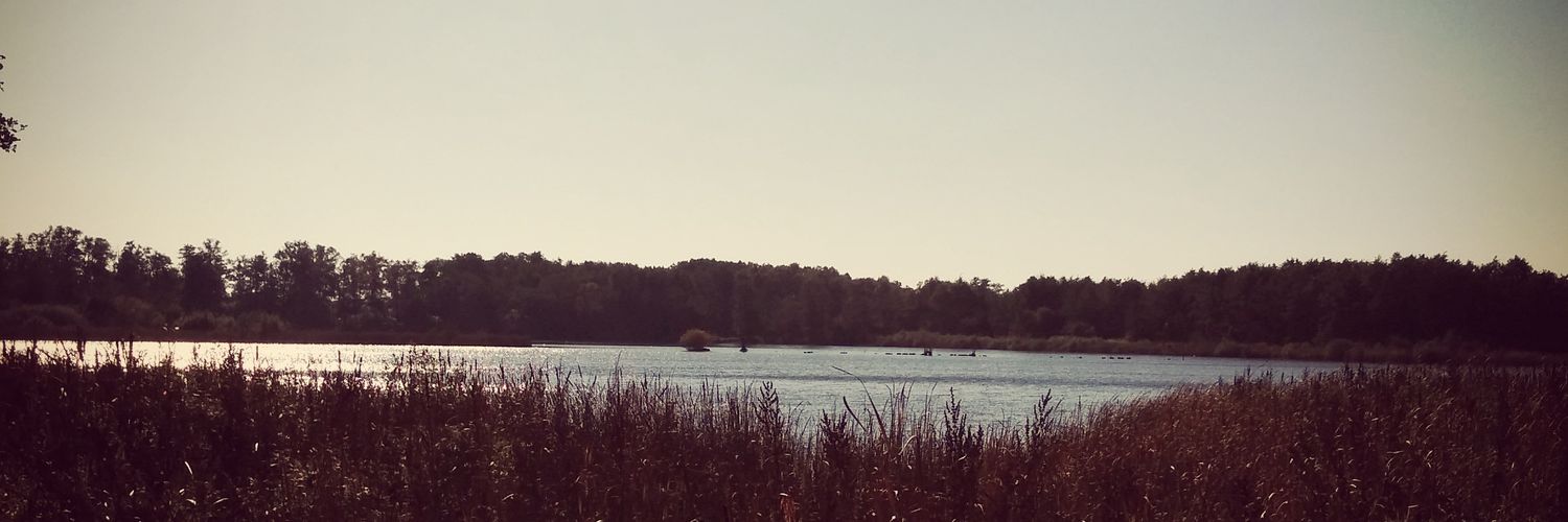 DsChAeNiE's profile banner image