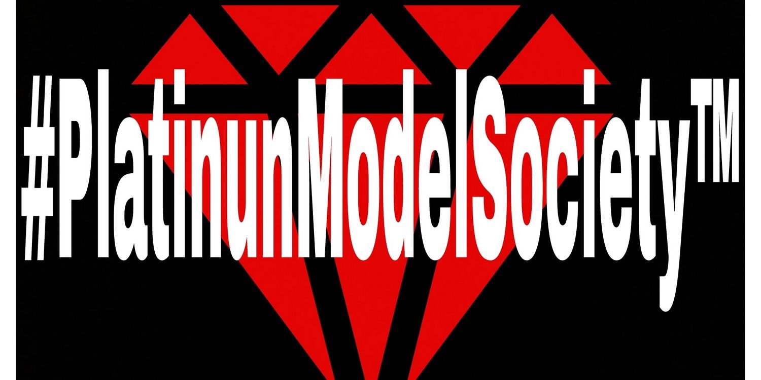 _PlatinumModelz's profile banner image