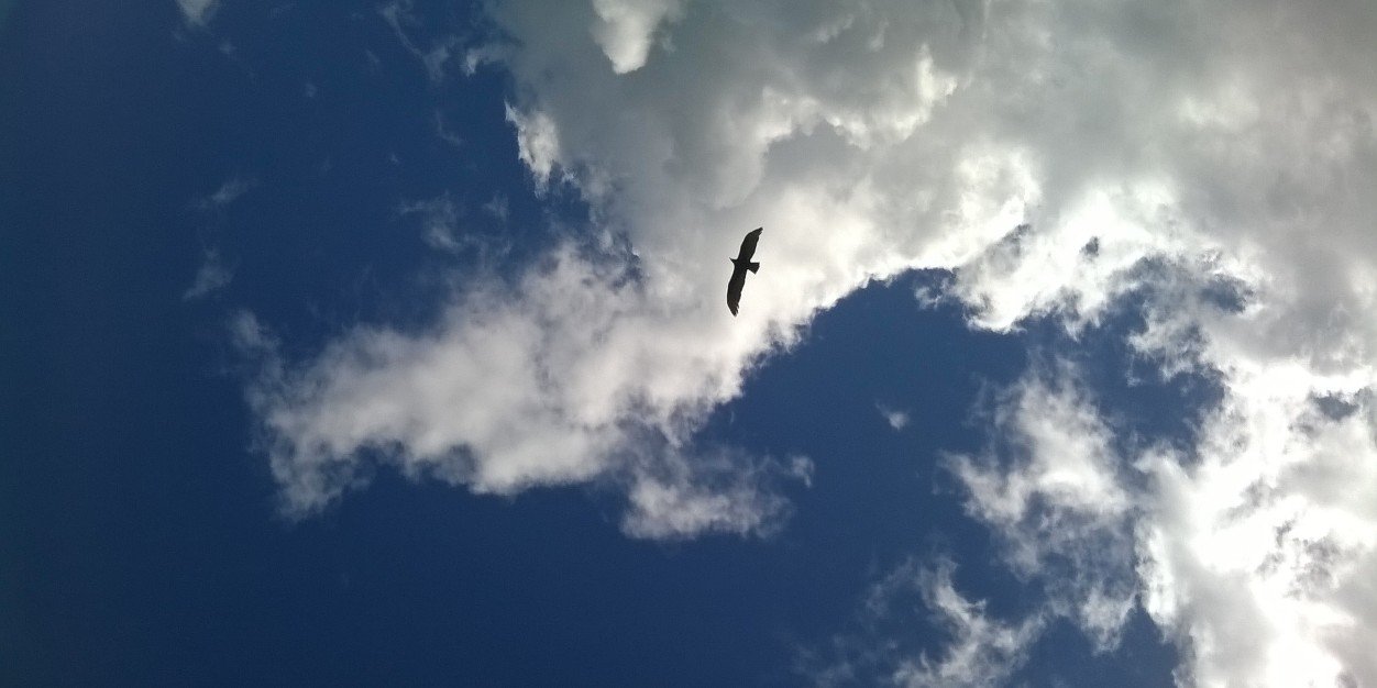 Eduardo Stenio 🥂 banner