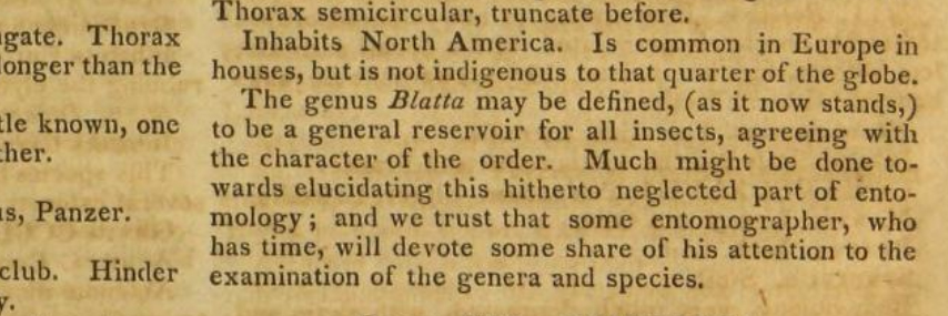 Charles Wallace banner