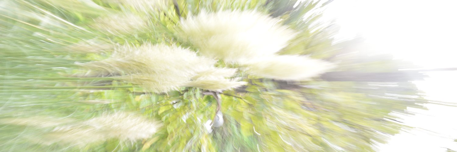 niludad's profile banner image