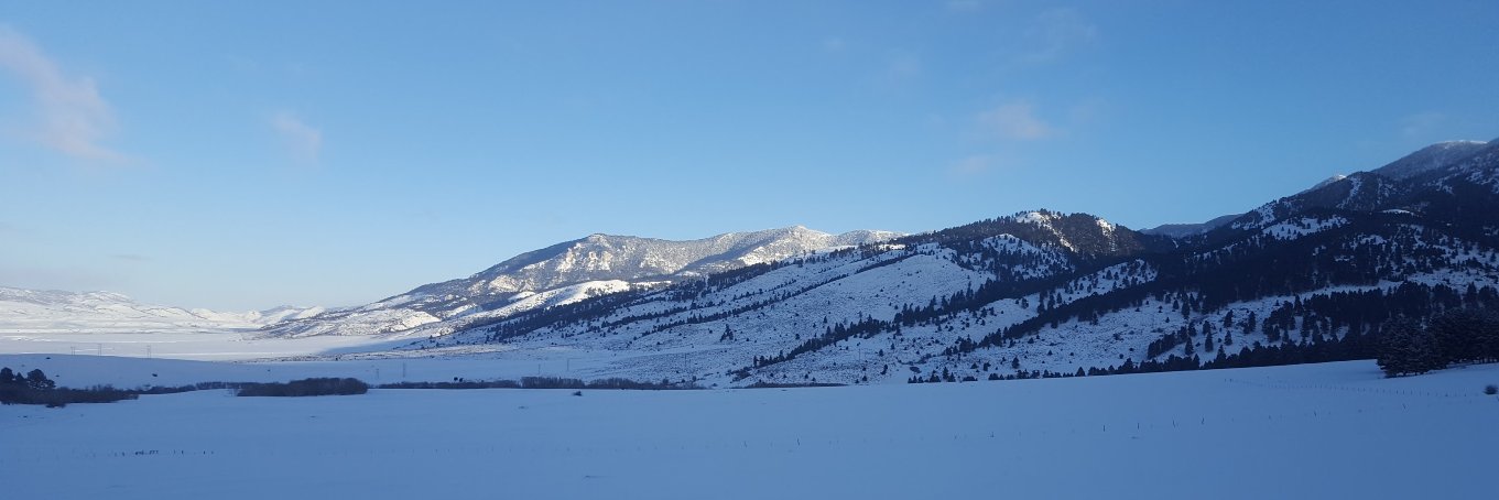 Montana Programmers banner