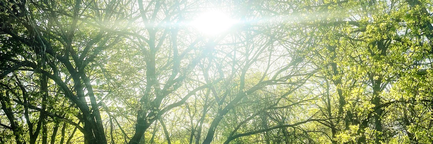 lexilwyoung's profile banner image