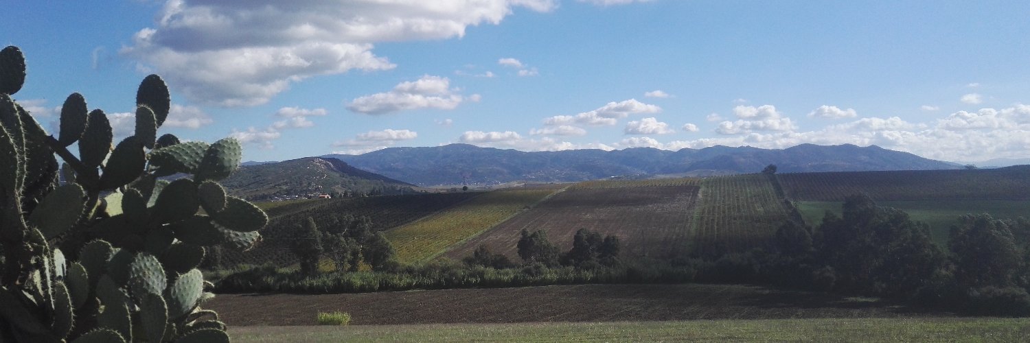 Claudine ABDI-OUAMRANE banner