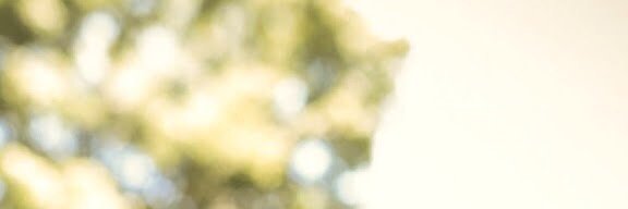 rwy2009's profile banner image