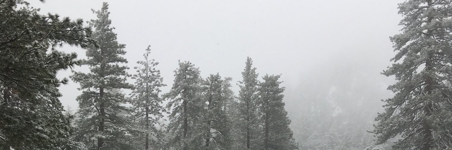 slzrgl's profile banner image