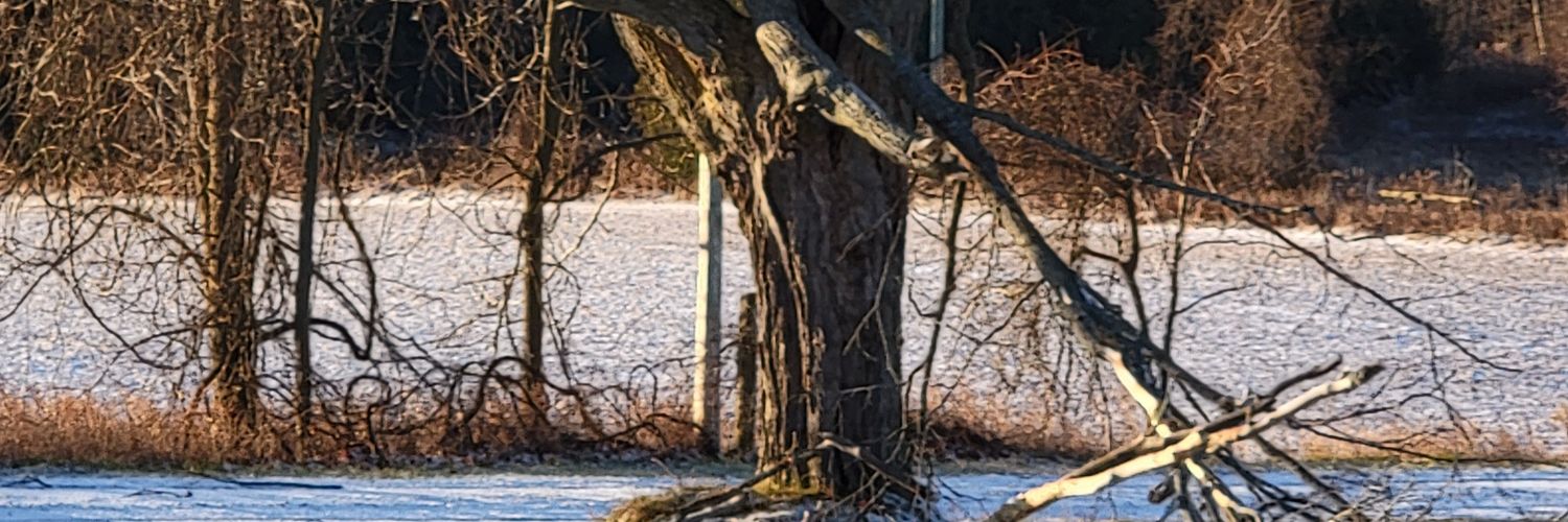 dollface56's profile banner image