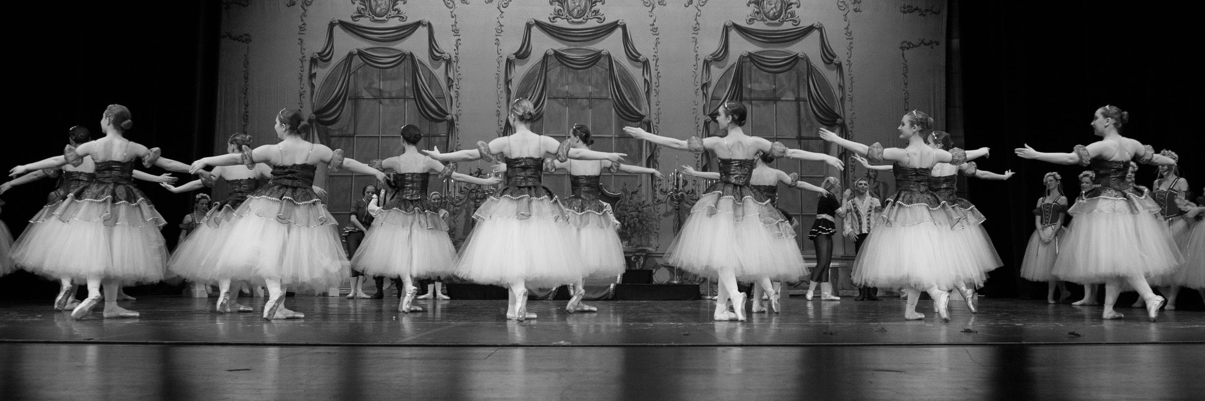 macombballet's profile banner image