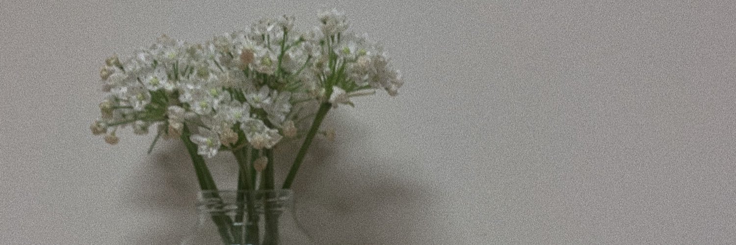 addie banner