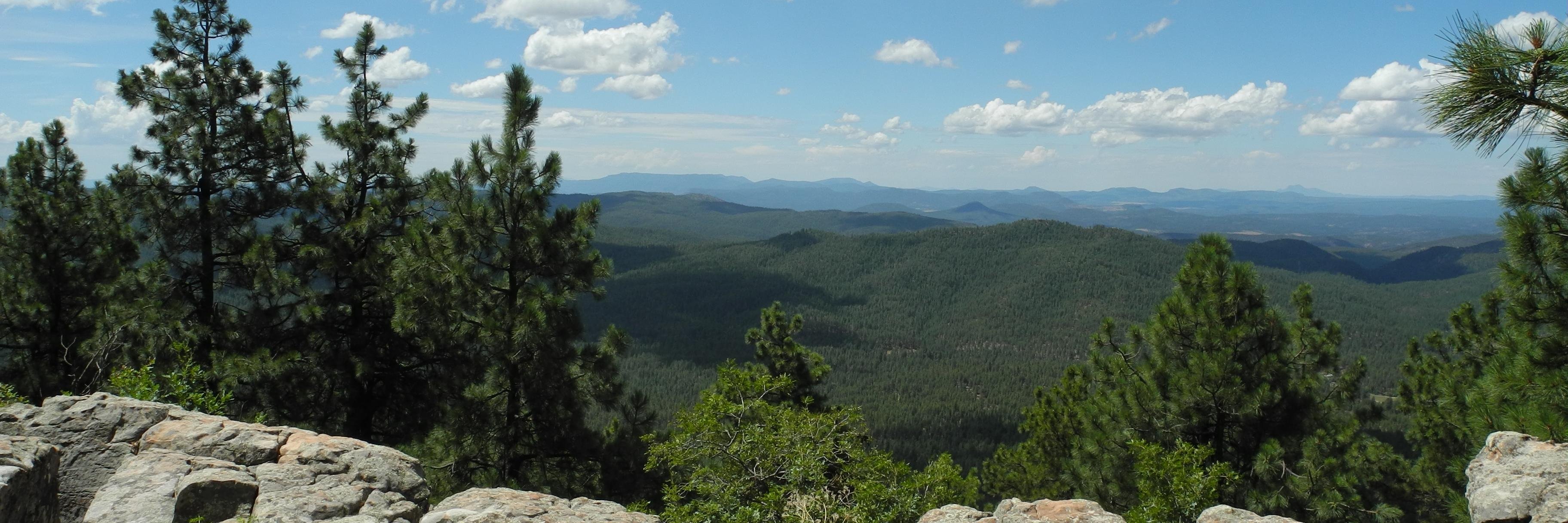 Good For Arizona banner