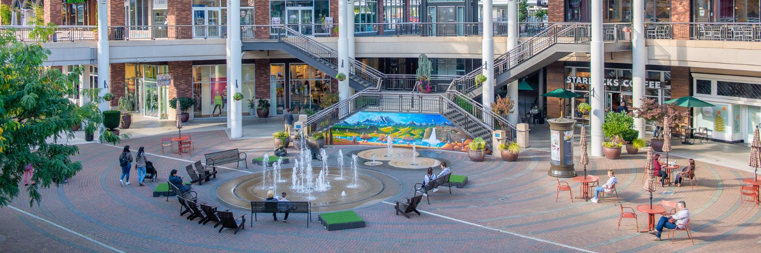 RedmondTownCenter banner